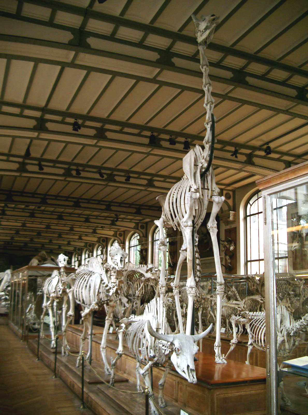 Jardin des Plantes image 2